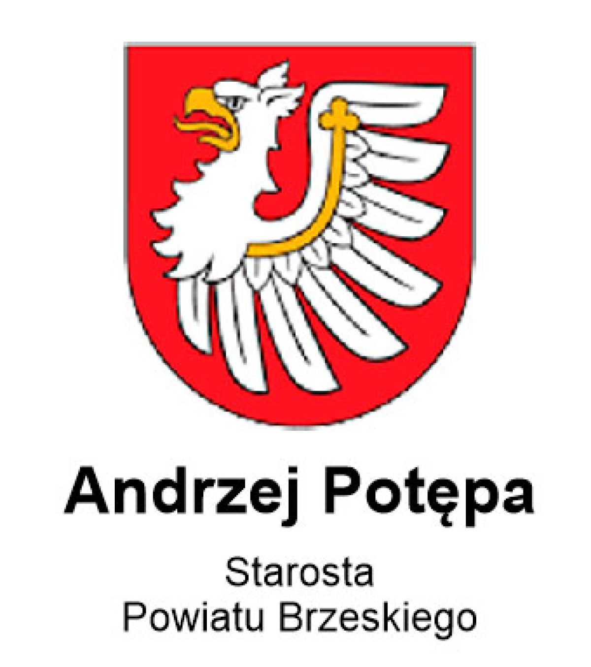 logo powiatb logo powiatb